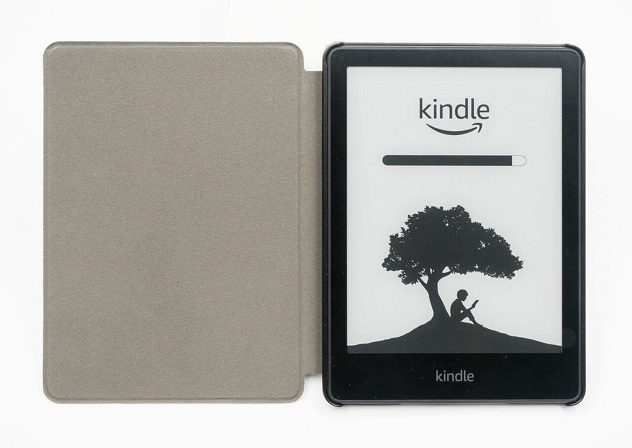 idée cadeau femme liseuse électronique lecture
